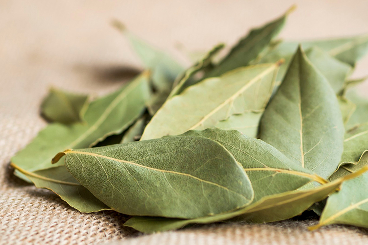 bay_leaves_3