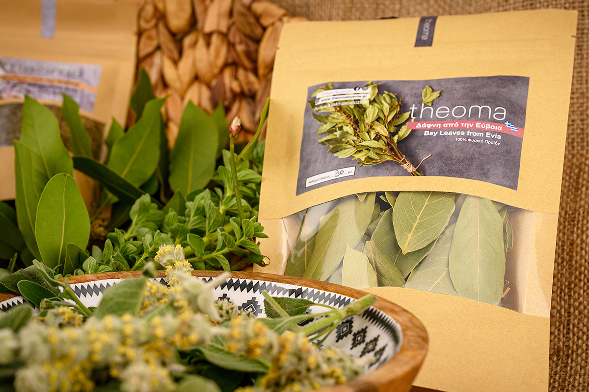 bay_leaves_4