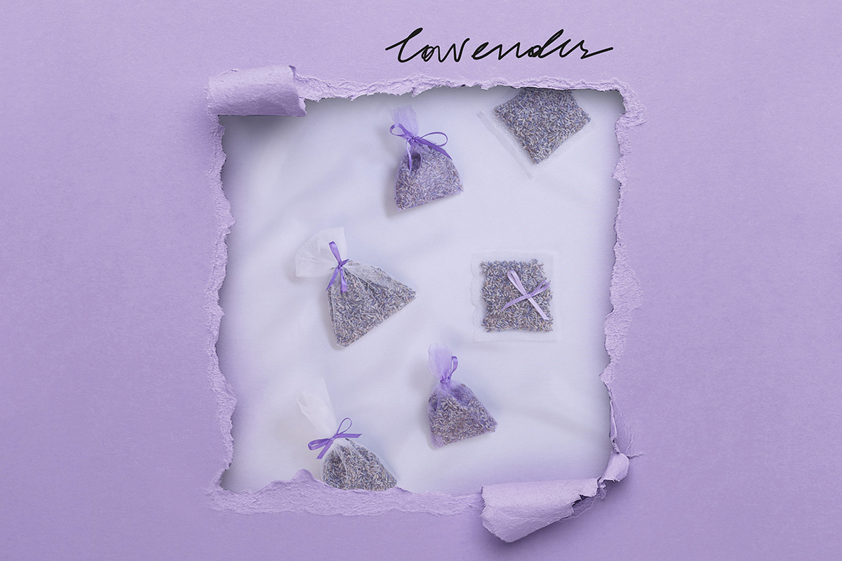 lavender_3