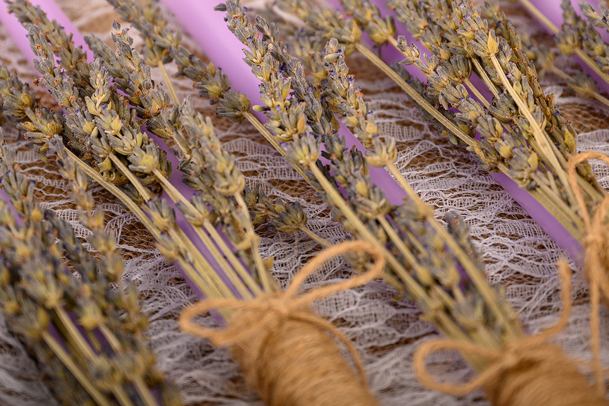 lavender_4